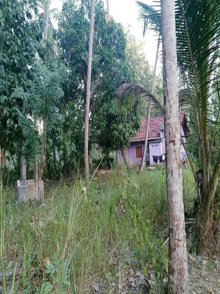 House for Sale in Hettipola ads-image-1