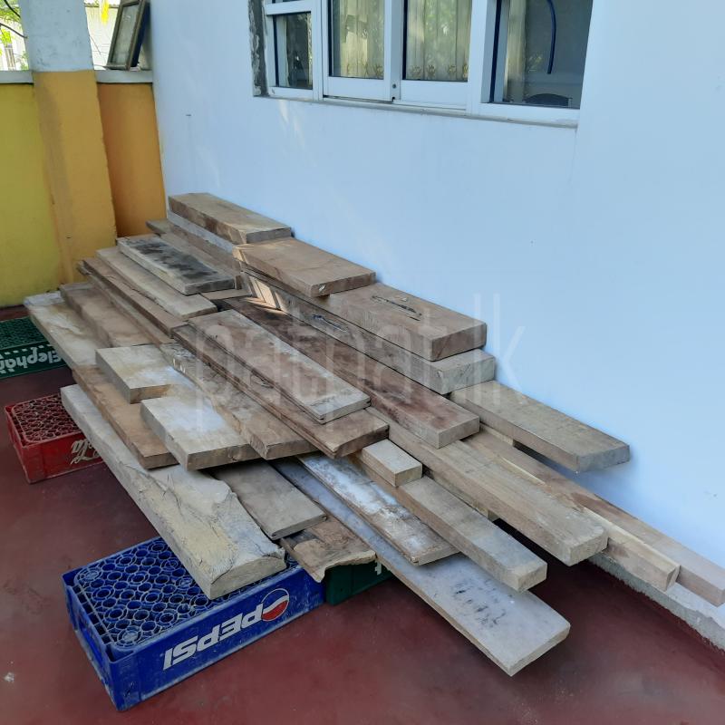 Teak Wood ads-image-1