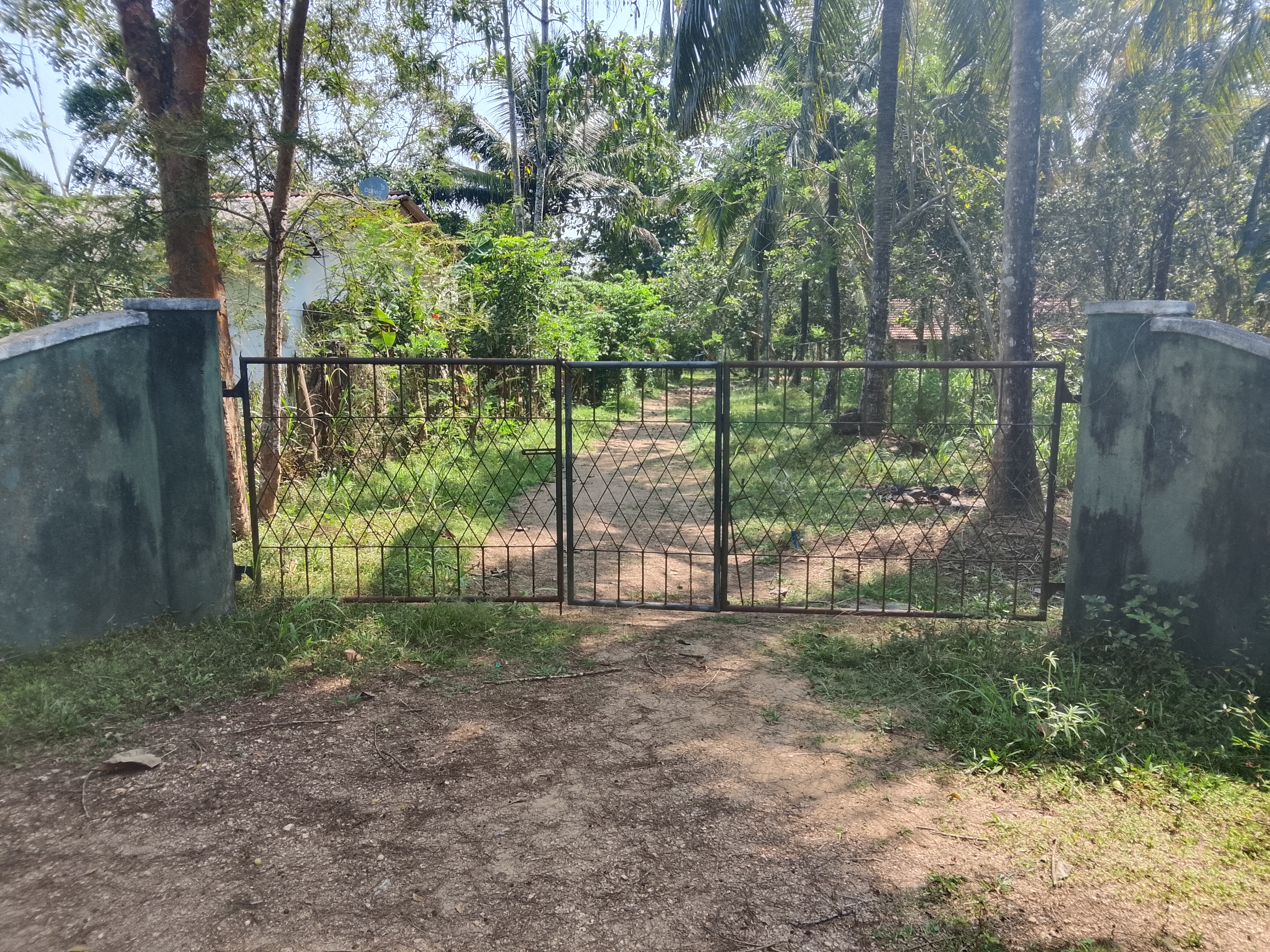 Residential Land for Sale in Maho