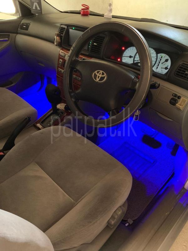 Advertisement image 3