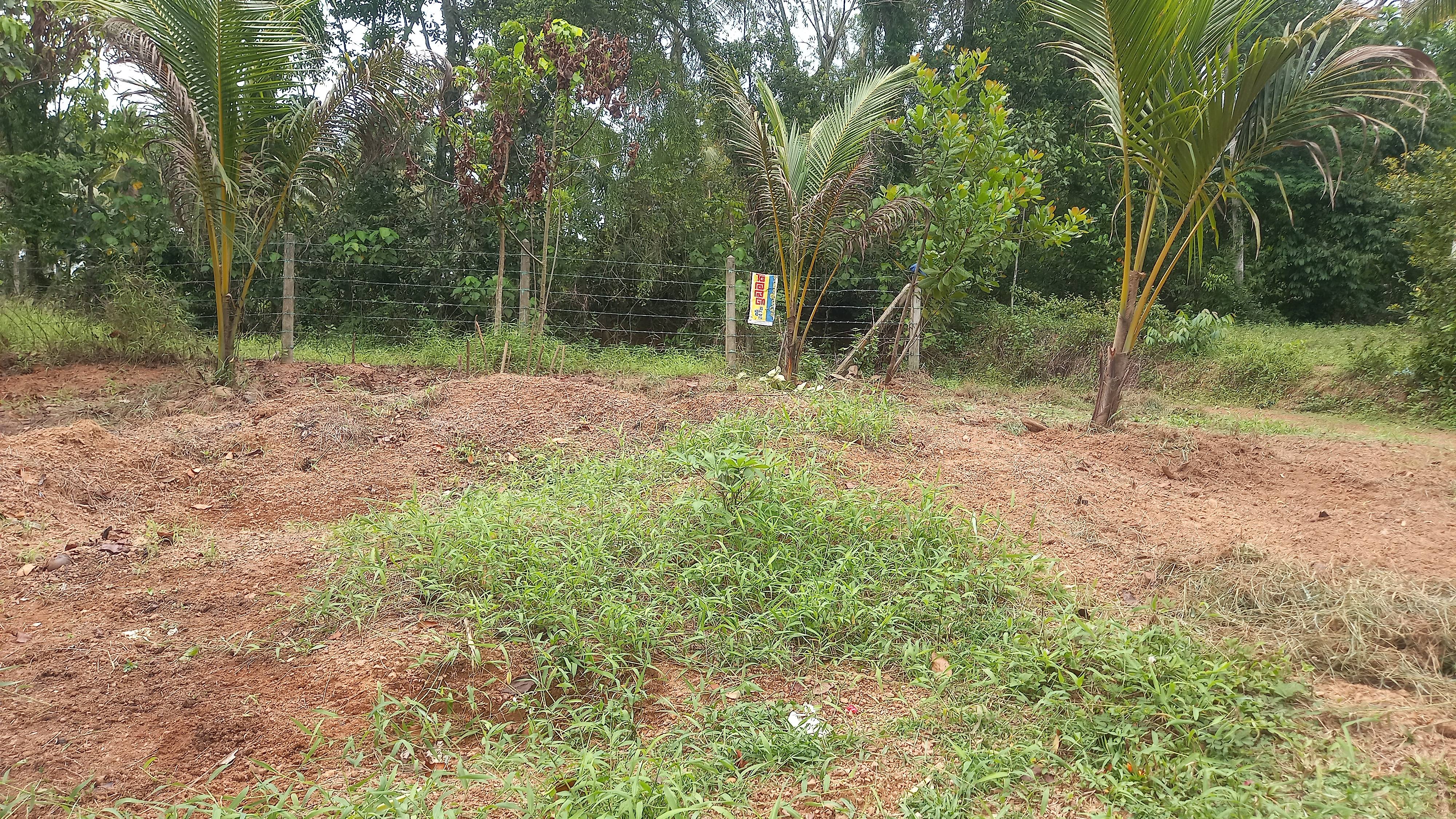 Residential Land for Sale in Horampella ads-image-1