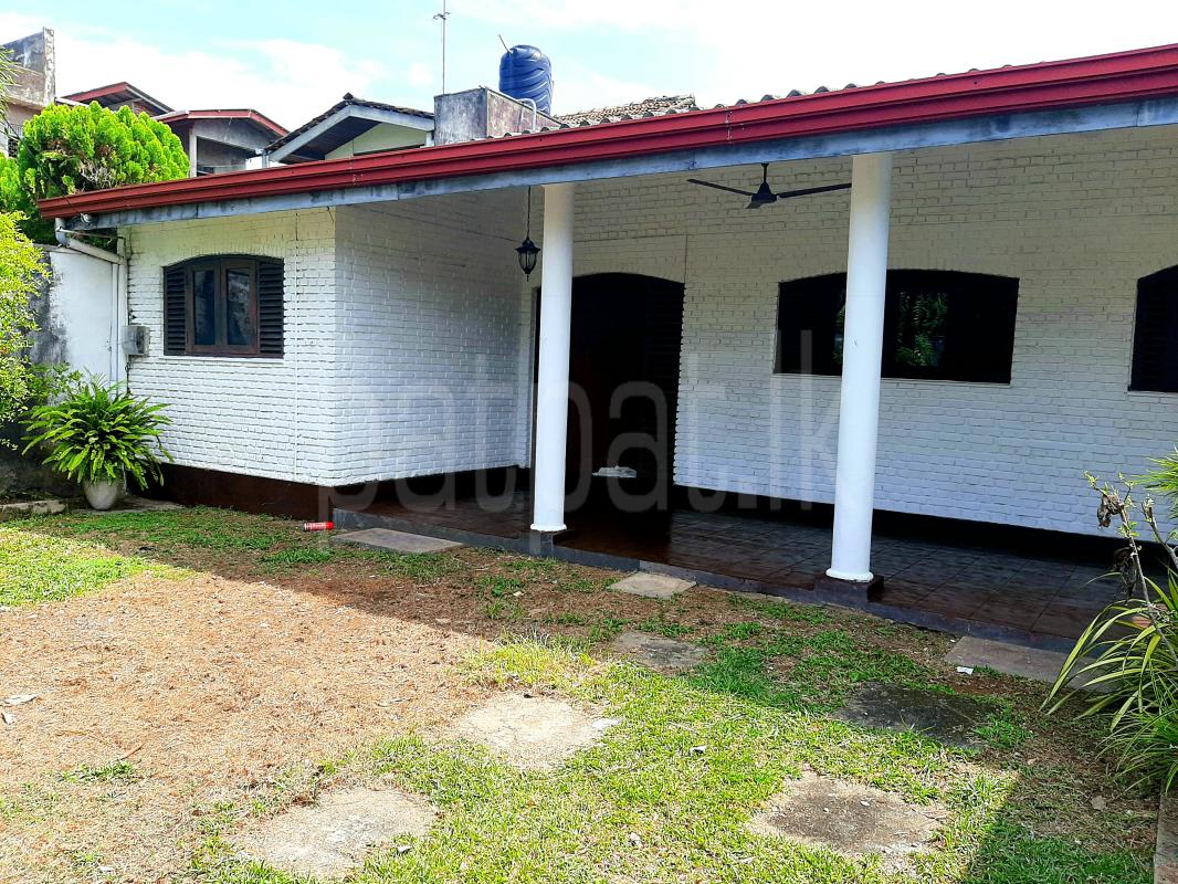 House for Rent in Mount Lavinia