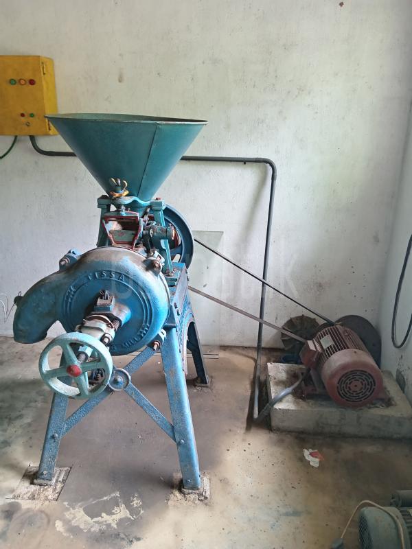 Thissa Spice & Chilli Grinding Machine