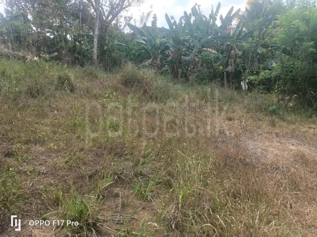 Agricultural Land for Sale in Mawathagama
