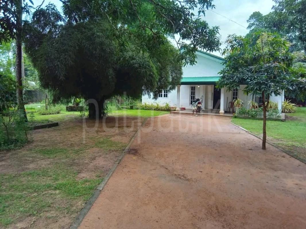 Residential Land for Sale in Ja-Ela