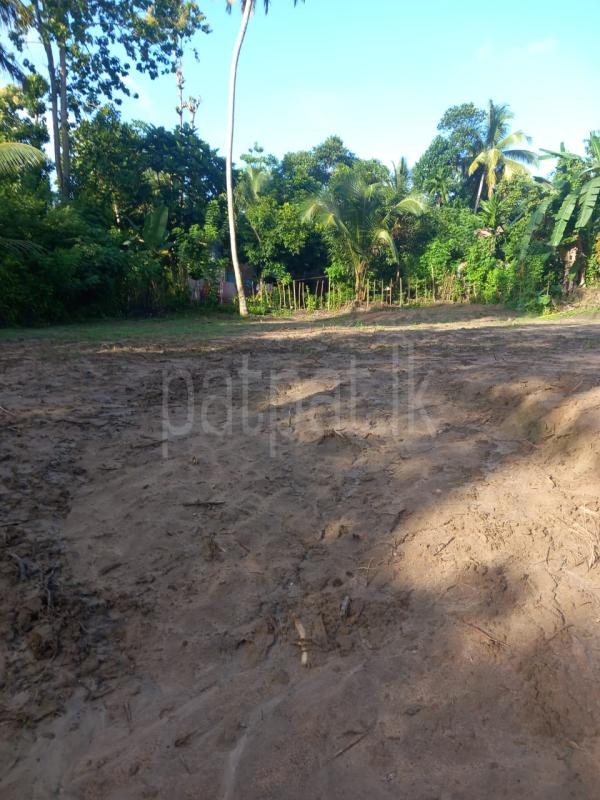 Commercial Land for Sale in Mawathagama