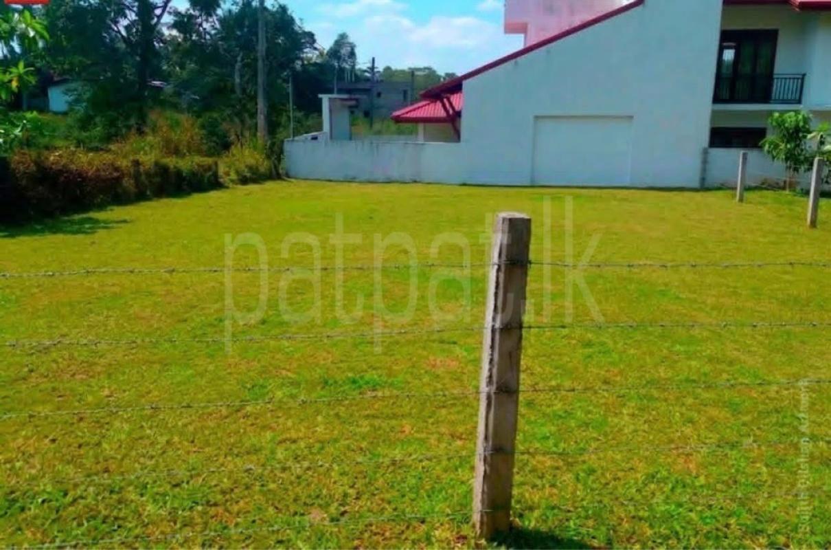 Commercial Land for Sale in Meepe