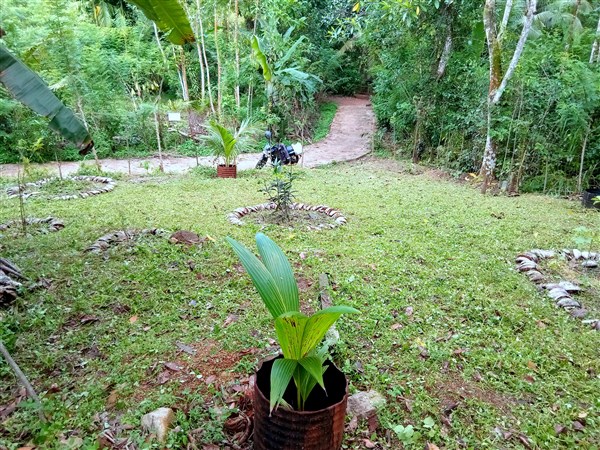 Agricultural Land for Sale in Horana ads-image-1