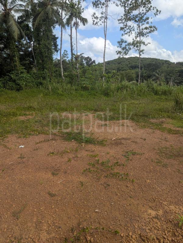 premium-listing-image