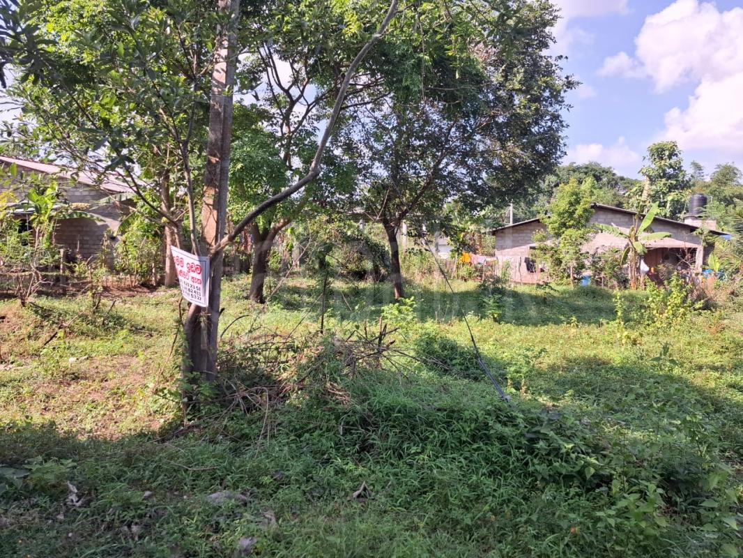 Residential Land for Sale in Torayaya ads-image-1
