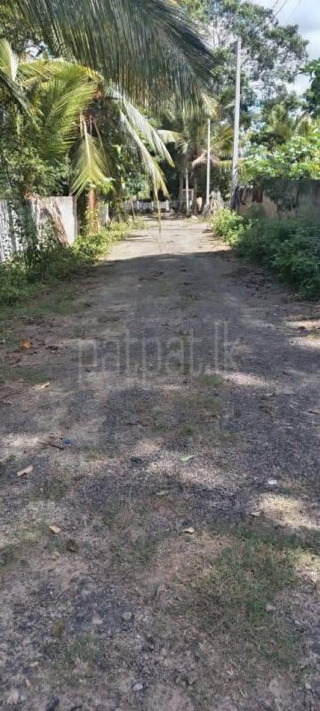 Agricultural Land for Sale in Ambalangoda