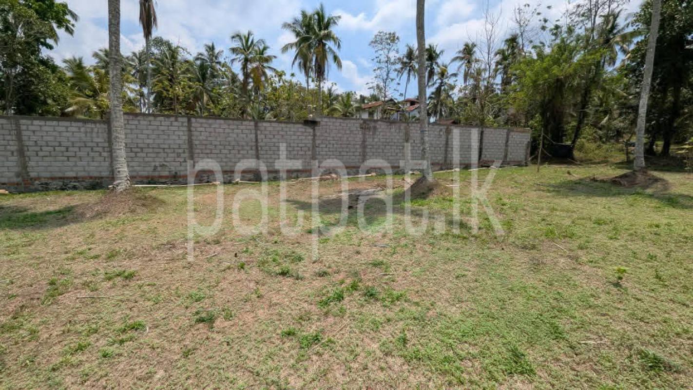 Residential Land for Sale in Dunagaha