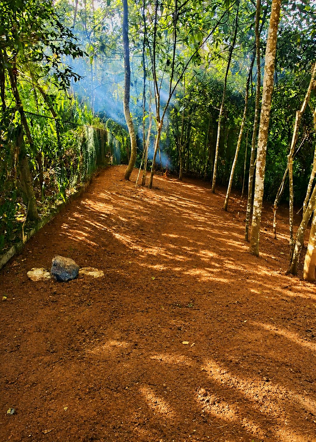 Residential Land for Sale in Peradeniya