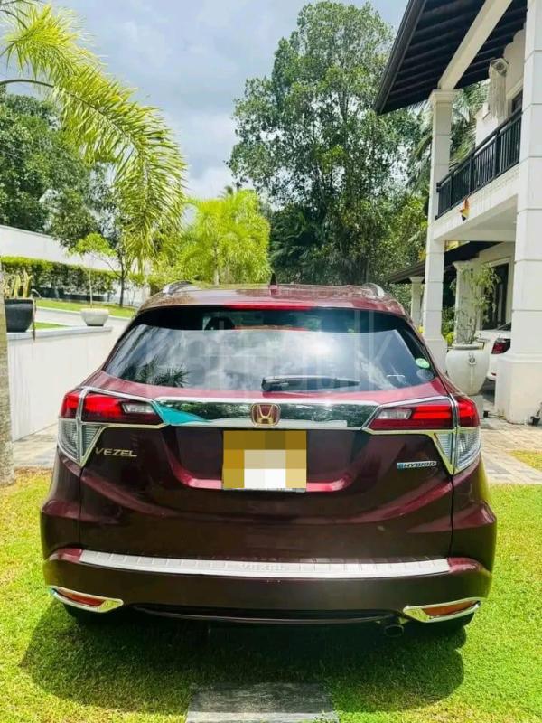 Advertisement image 1