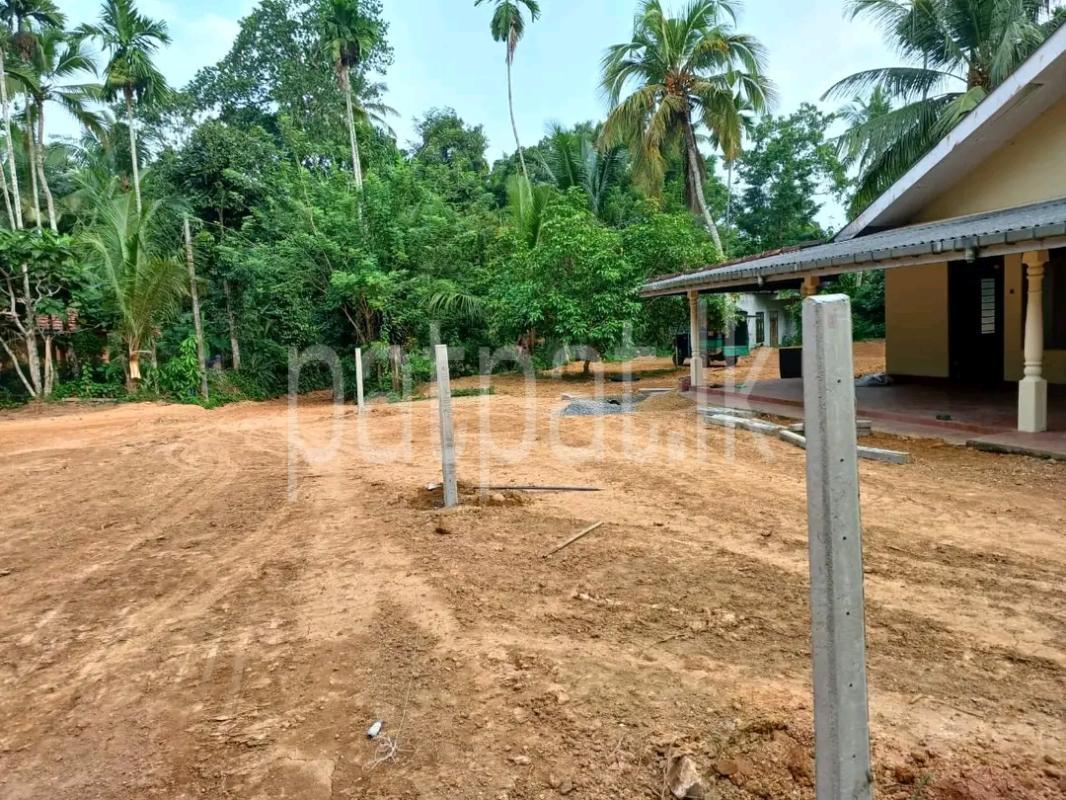 Agricultural Land for Sale in Ridigama