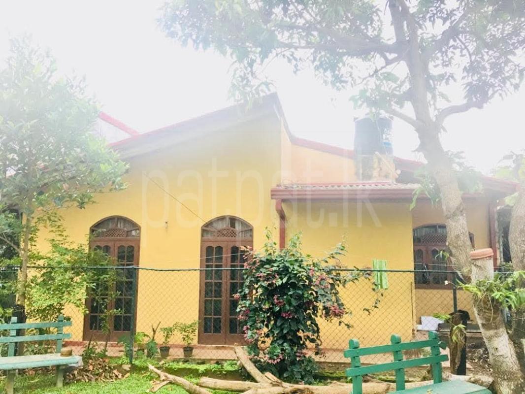 House for Sale in Panadura ads-image-1