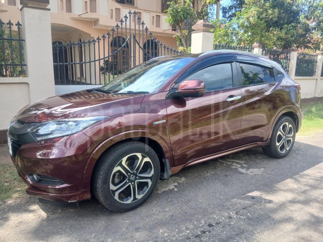 Advertisement image 3