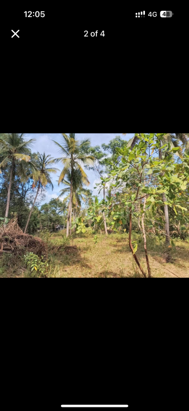 premium-listing-image