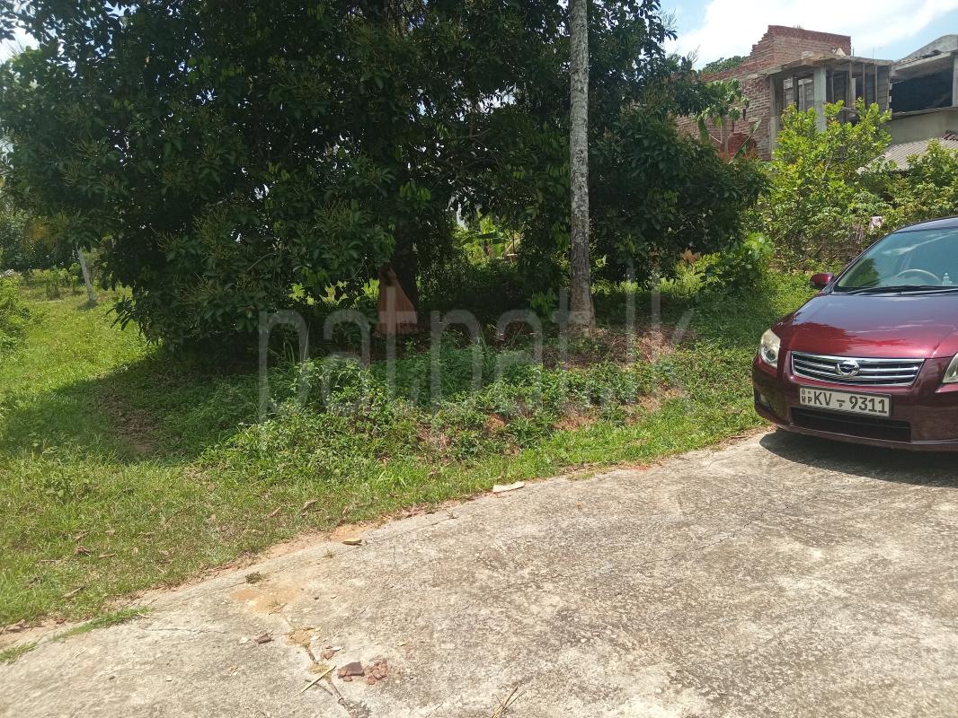 Residential Land for Sale in Gampaha