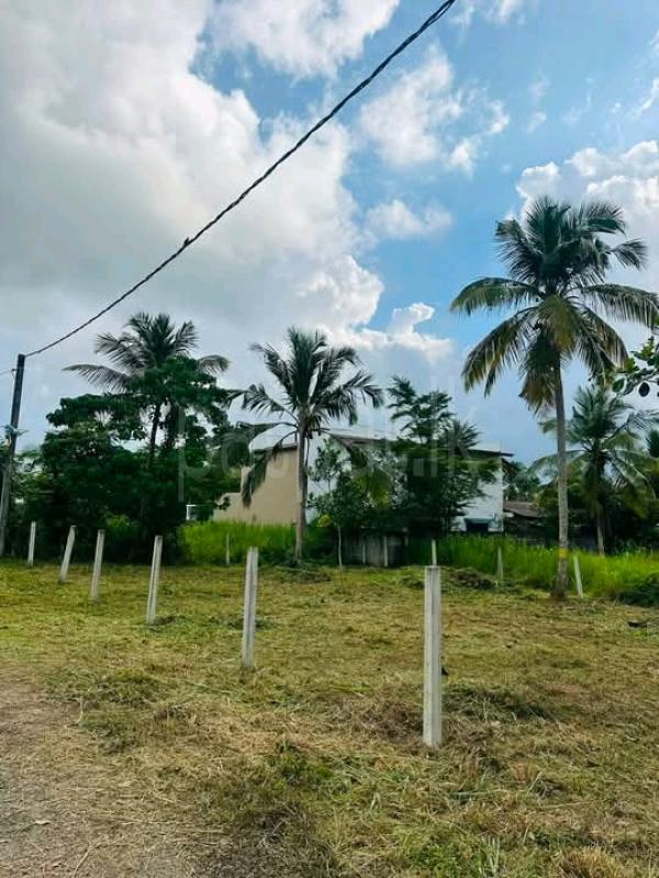Commercial Land for Sale in Divulapitiya