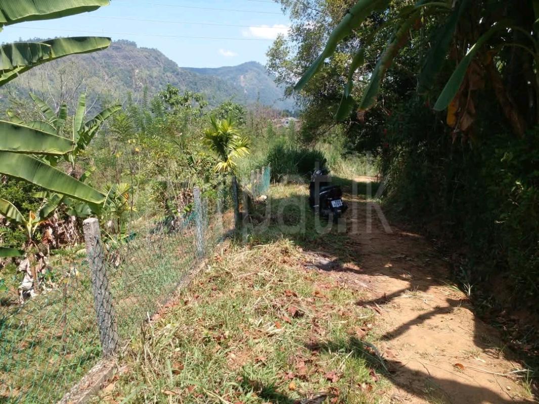 Residential Land for Sale in Gampola ads-image-1