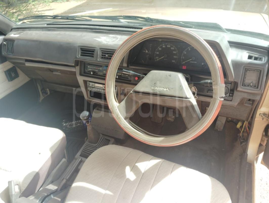 Advertisement image 6