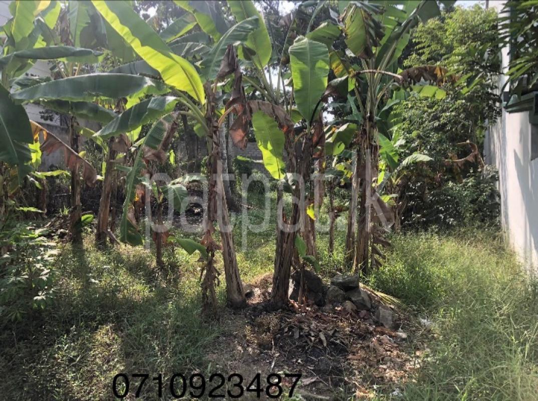 Commercial Land for Sale in Bandaragama