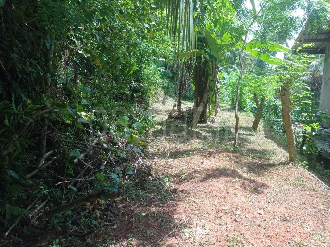 Residential Land for Sale in Kalutara