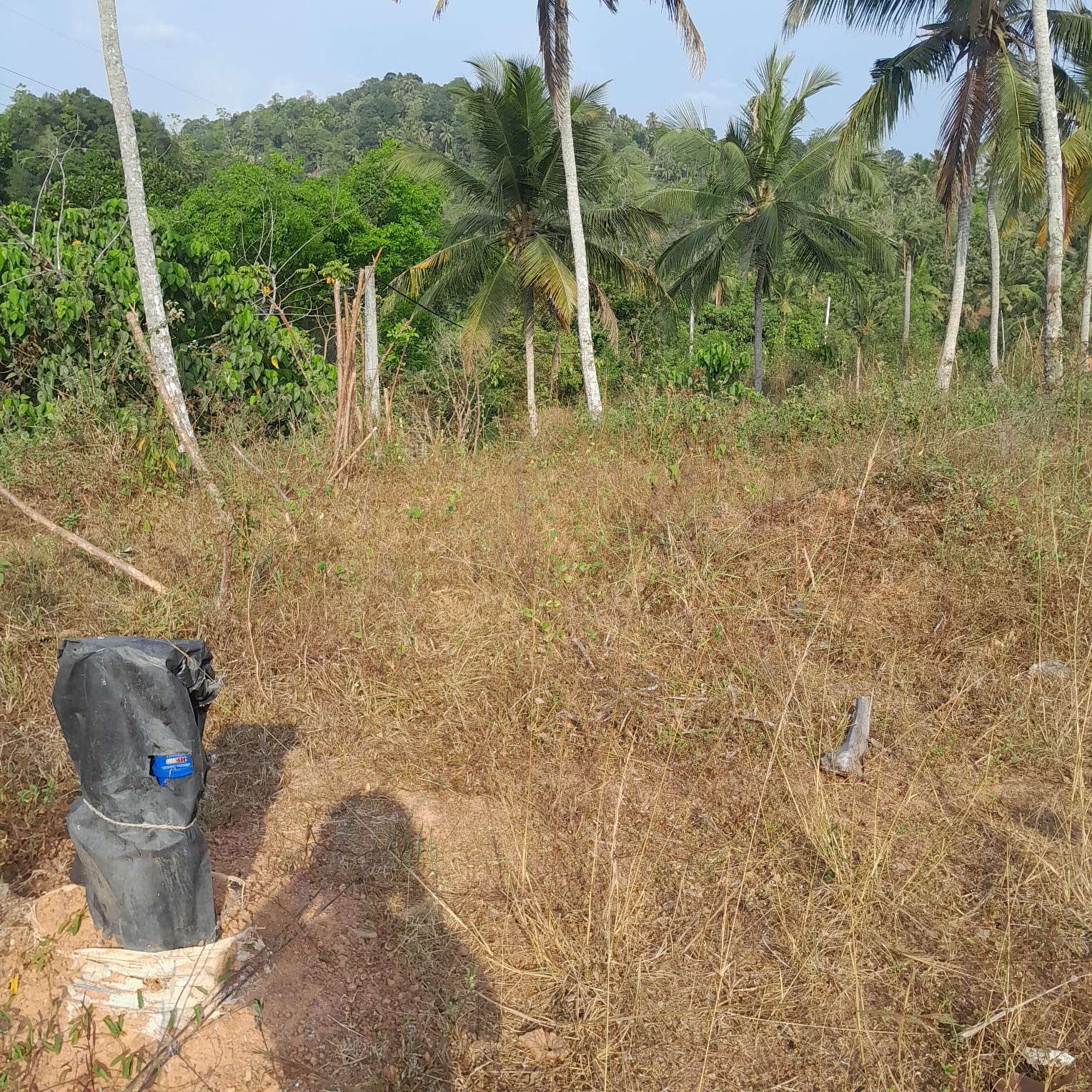 Residential Land for Sale in Kekanadurra ads-image-1