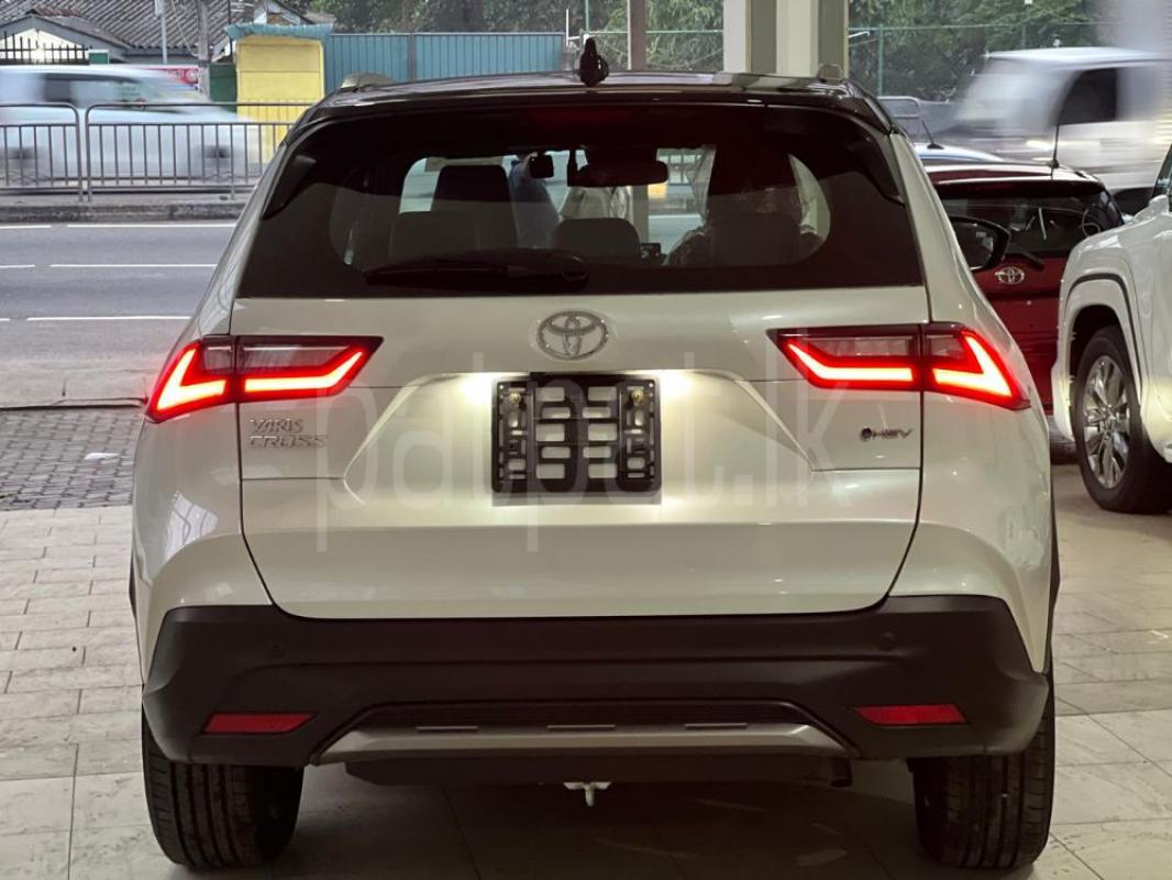 Advertisement image 3