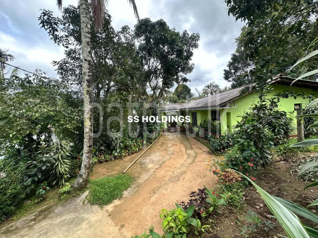 Commercial Land for Sale in Nuwara Eliya