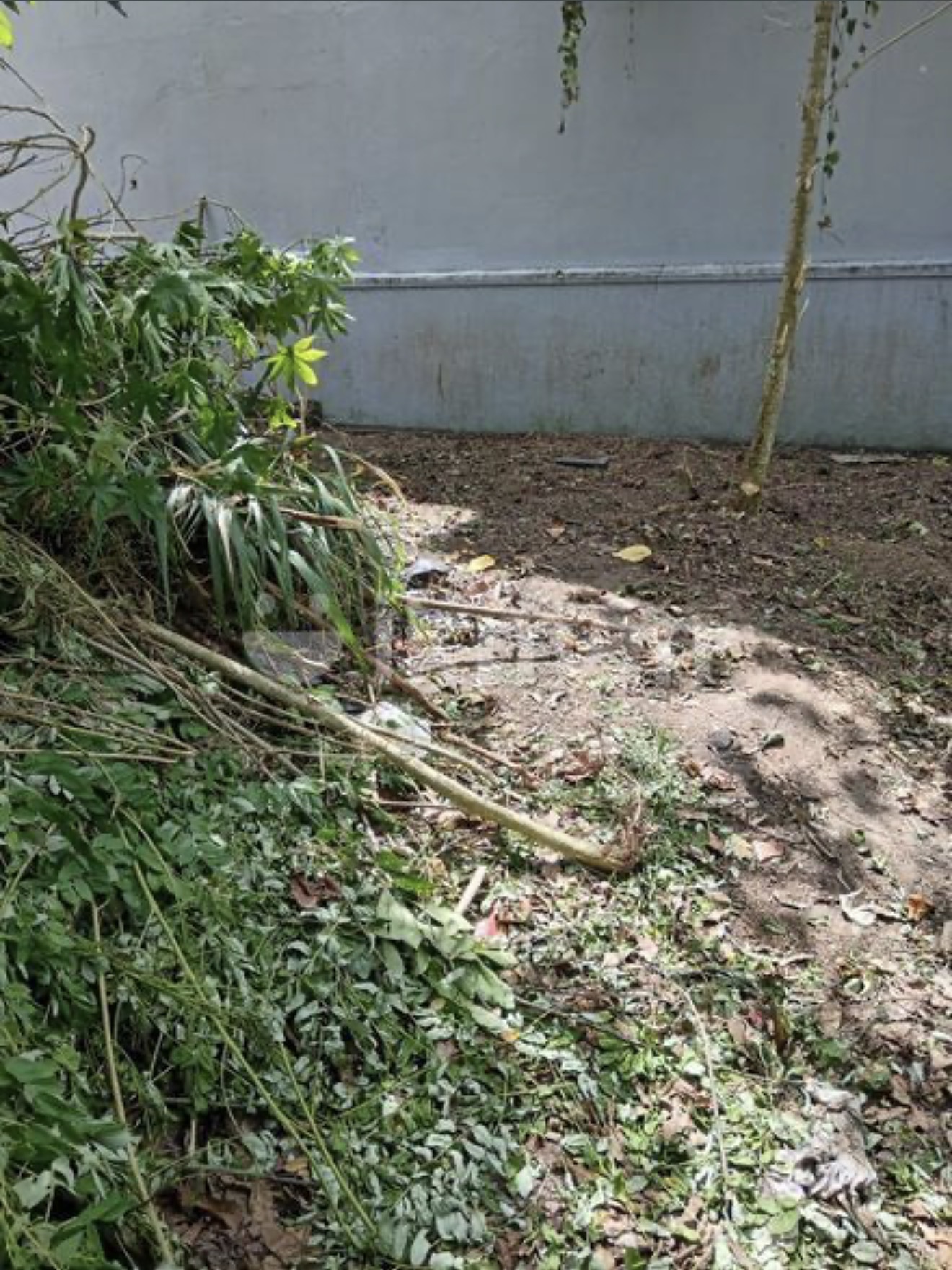 Residential Land for Sale in Ranala