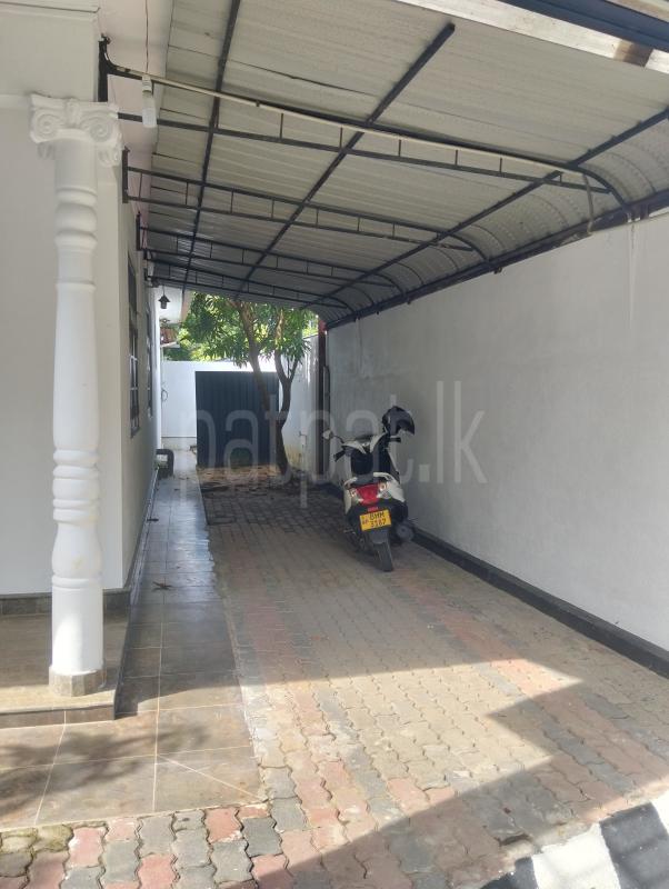House for Rent in Wattala