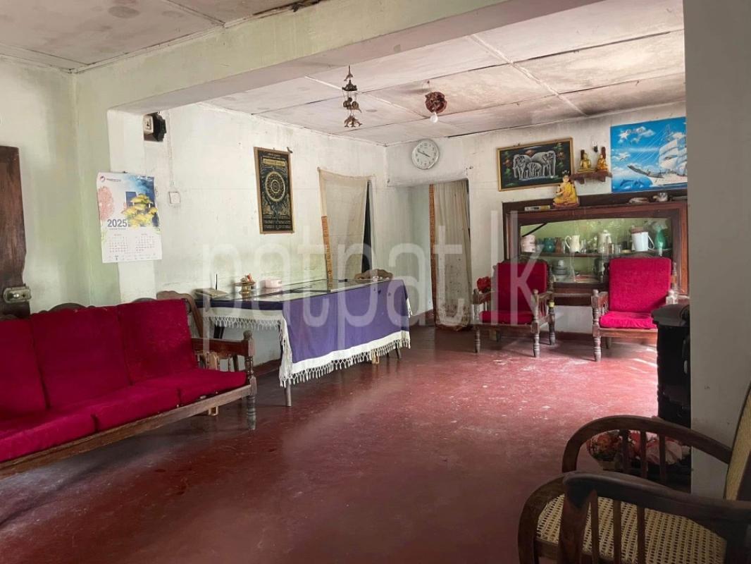 premium-listing-image