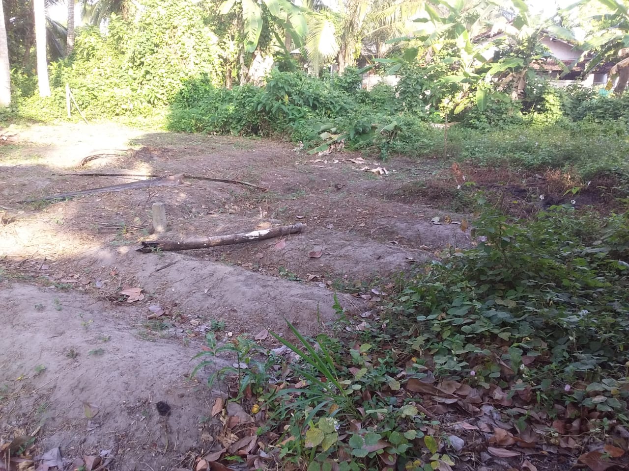 Residential Land for Sale in Pinwatta ads-image-1