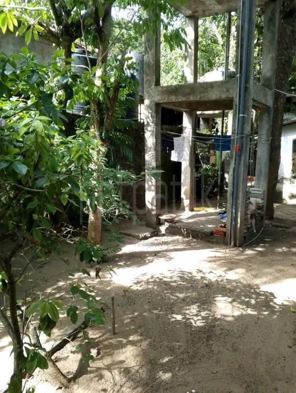 House for Rent in Wellawatta (Colombo 06)