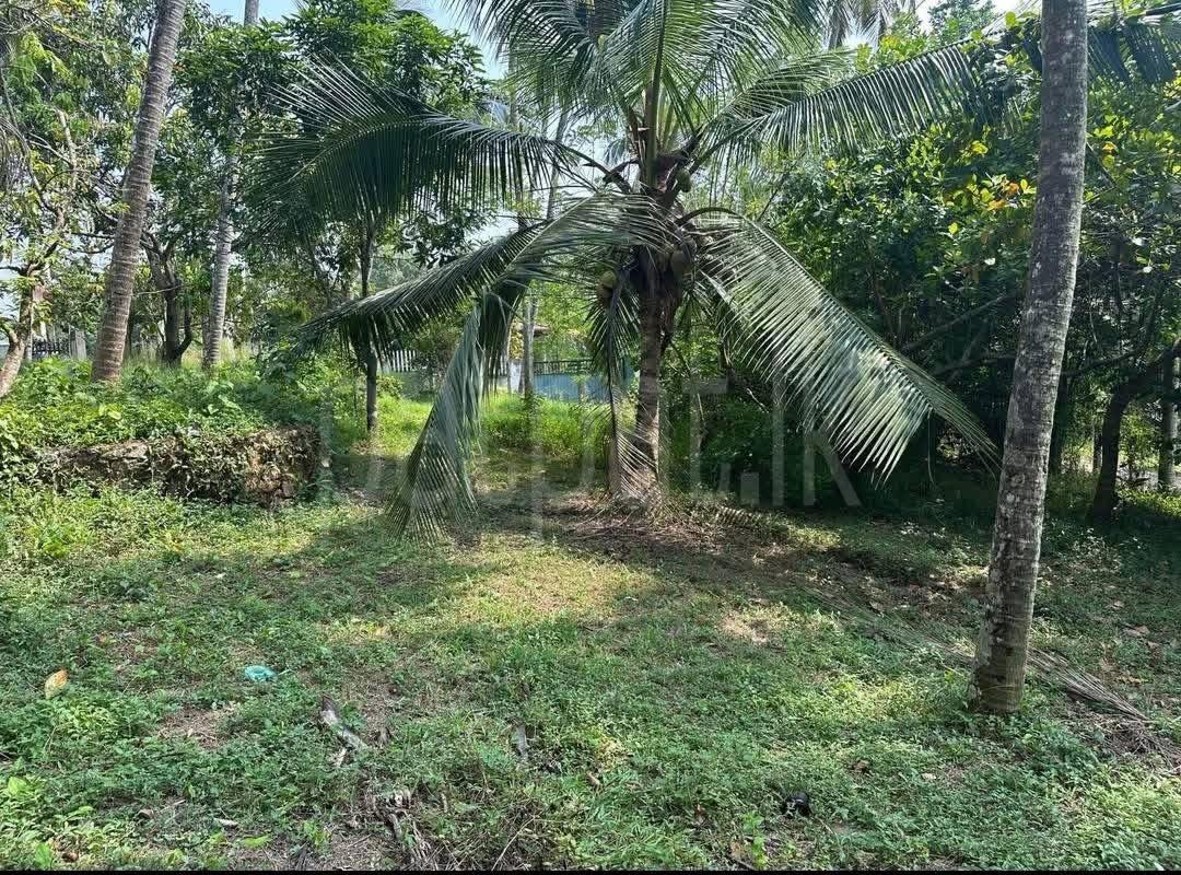 Residential Land for Sale in Kadawatha ads-image-1