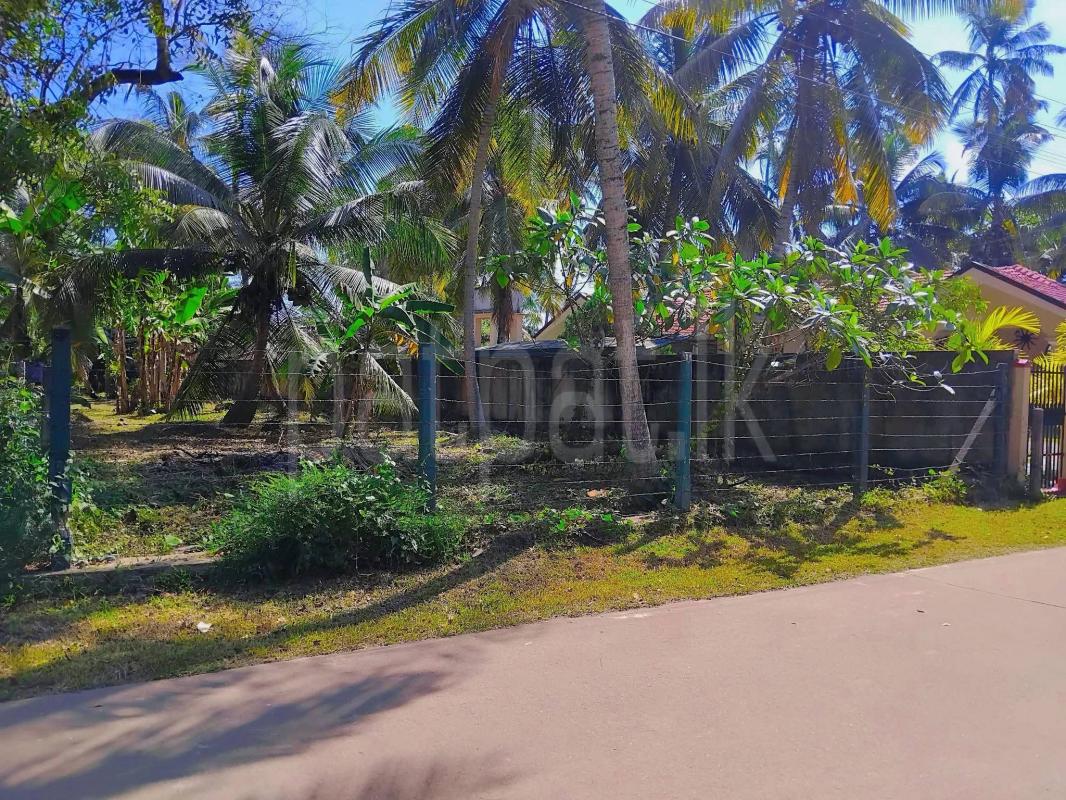 Residential Land for Sale in Kochchikade