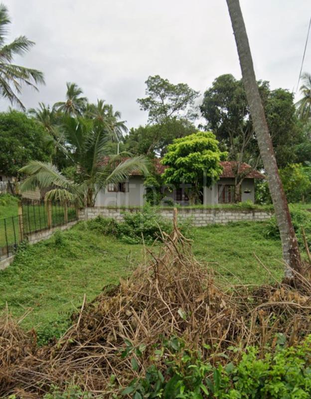 Residential Land for Sale in Devinuwara (Dondra) ads-image-1