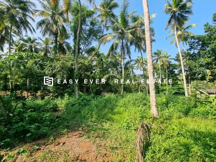Commercial Land for Sale in Veyangoda