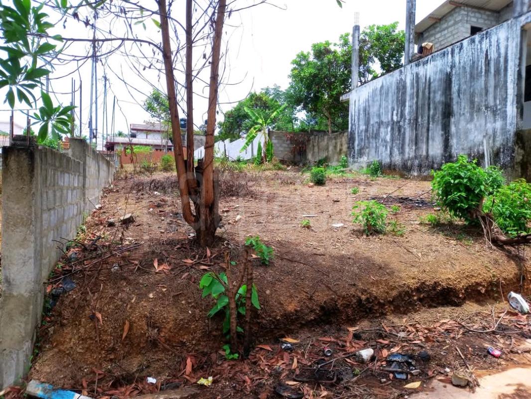 Residential Land for Sale in Tangalla ads-image-1