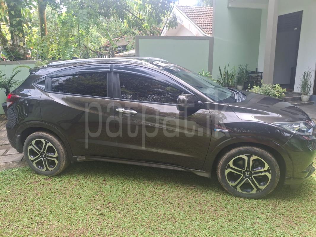 Advertisement image 1