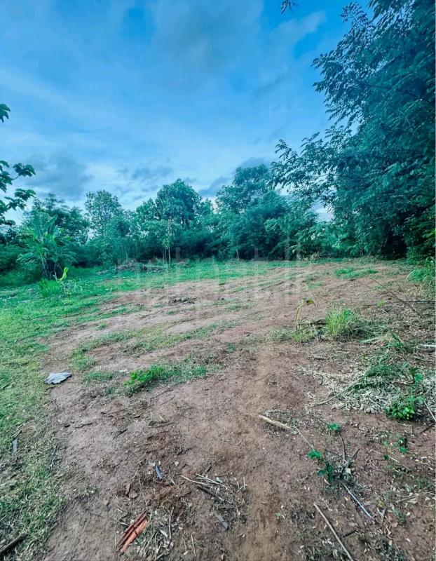 Agricultural Land for Sale in Godagama