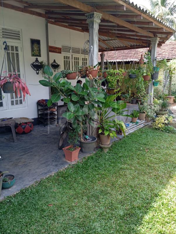 House for Sale in Gampaha