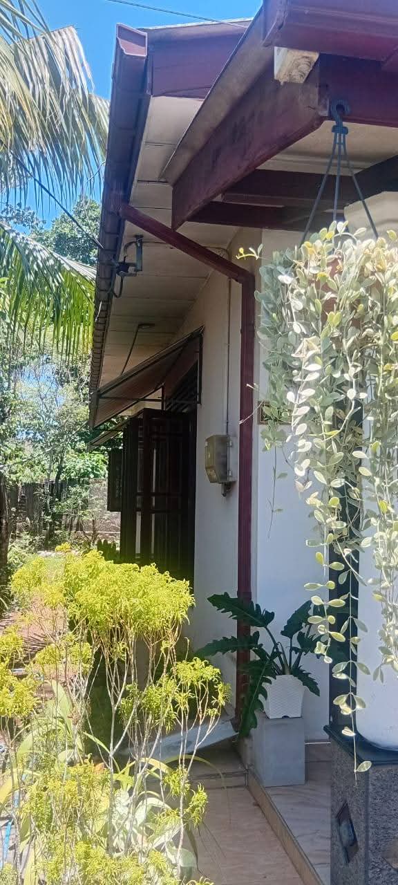 House for Sale in Delgoda