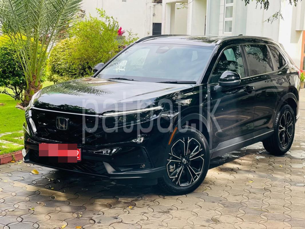 Advertisement image 3