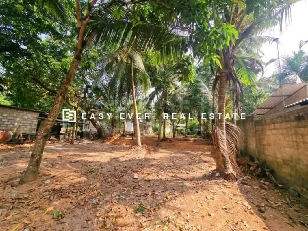Commercial Land for Sale in Divulapitiya