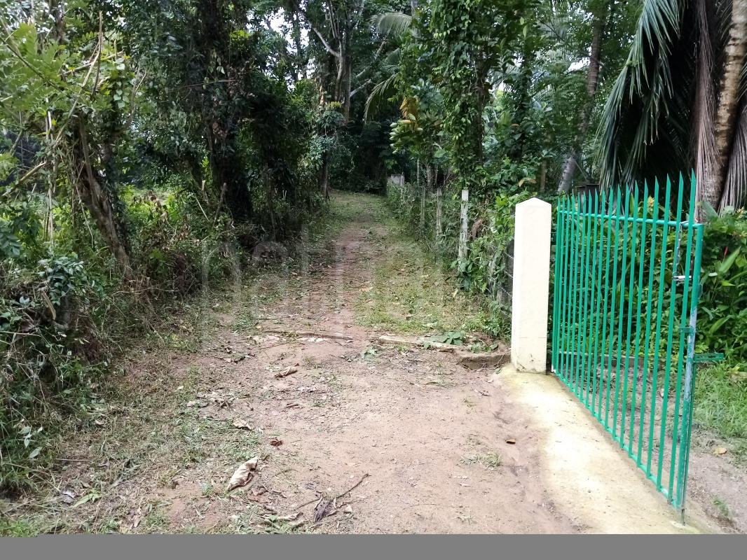 House for Sale in Divulapitiya ads-image-1