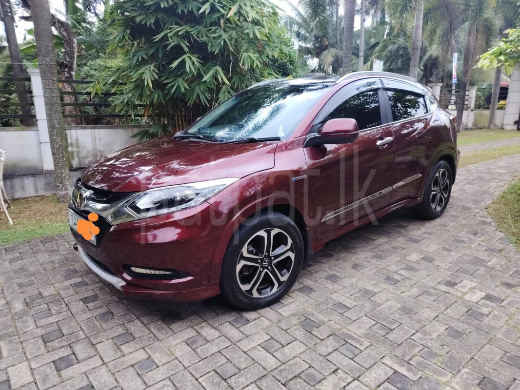 Advertisement image 3