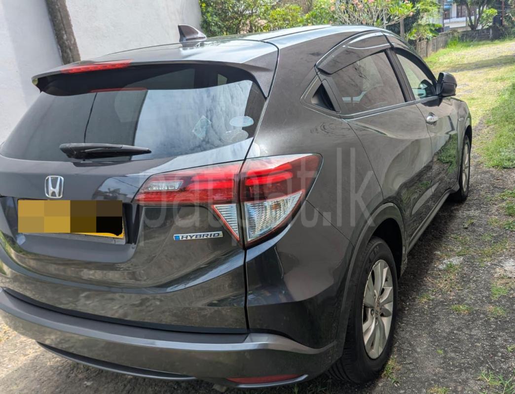 Advertisement image 3